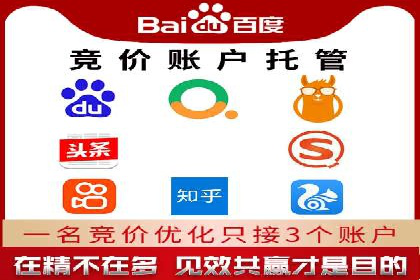 成功SEM托管案例解析